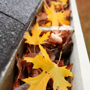 Gutters in Denver CO